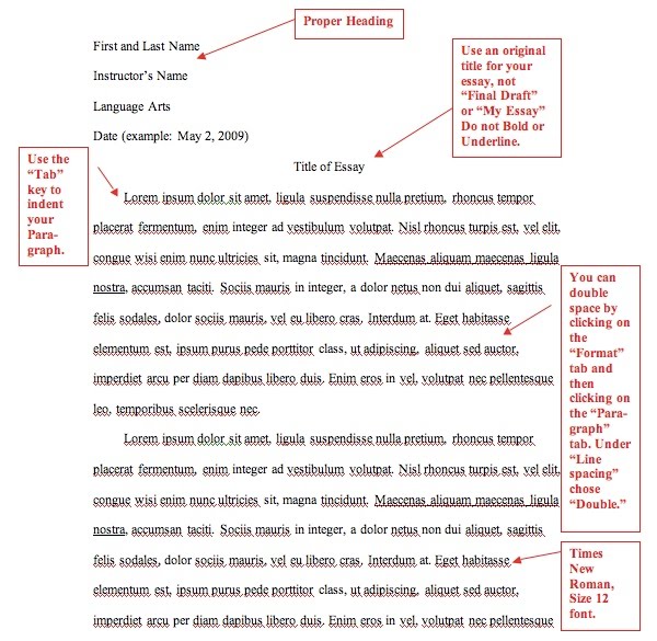 what is the format for an essay
