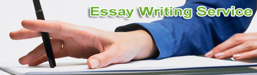 Service essay writing