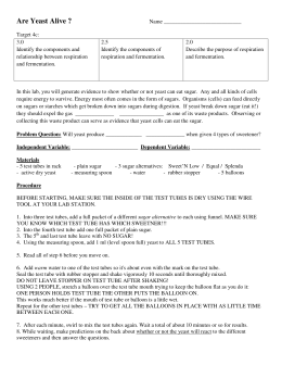 Yeast fermentation lab report